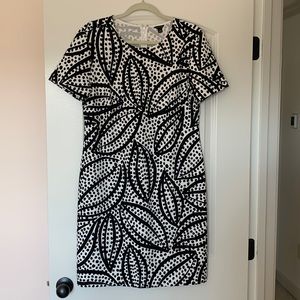 Ann Taylor Short Sleeve Shift Dress Size 12